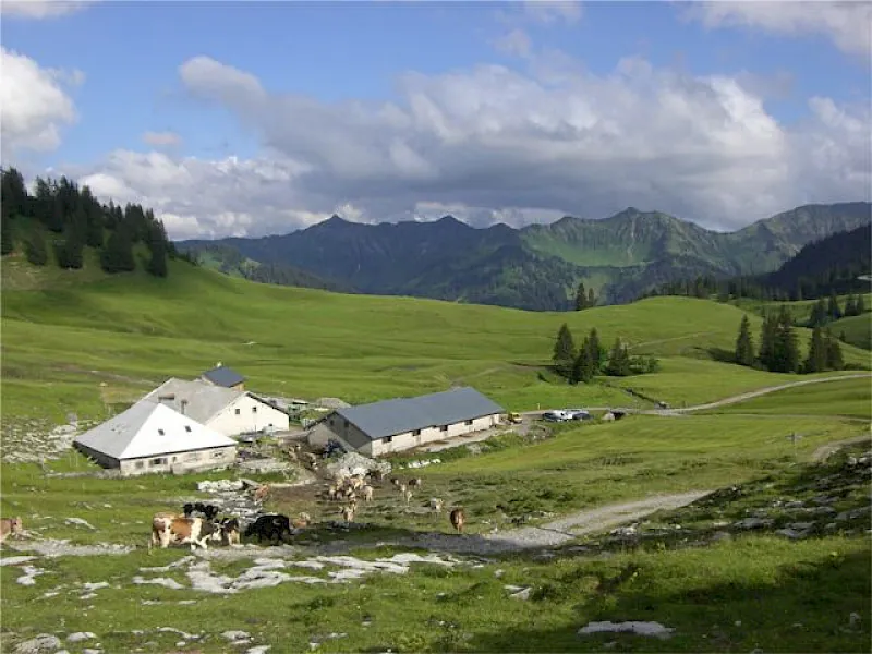 Alpe Saluver