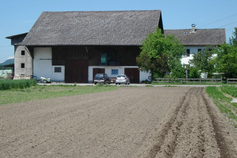 Keckeis Gerold in Rankweil