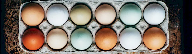 Eier