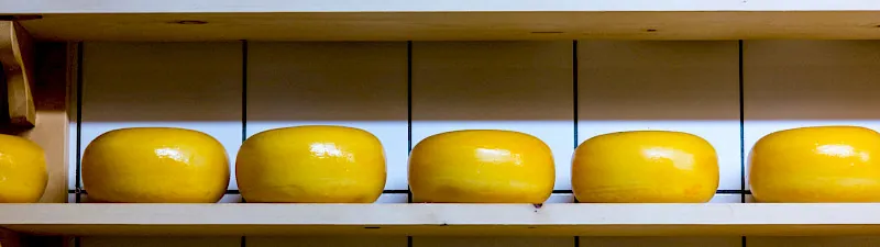 Käse